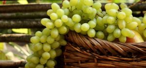 польза винограда для организма
