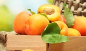 польза сушеных абрикосов