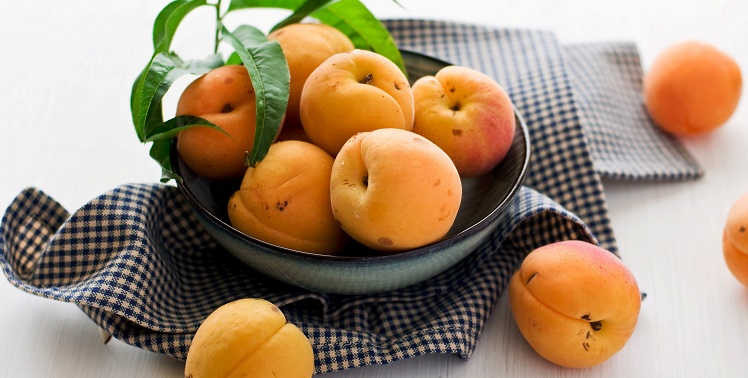 косточки абрикоса